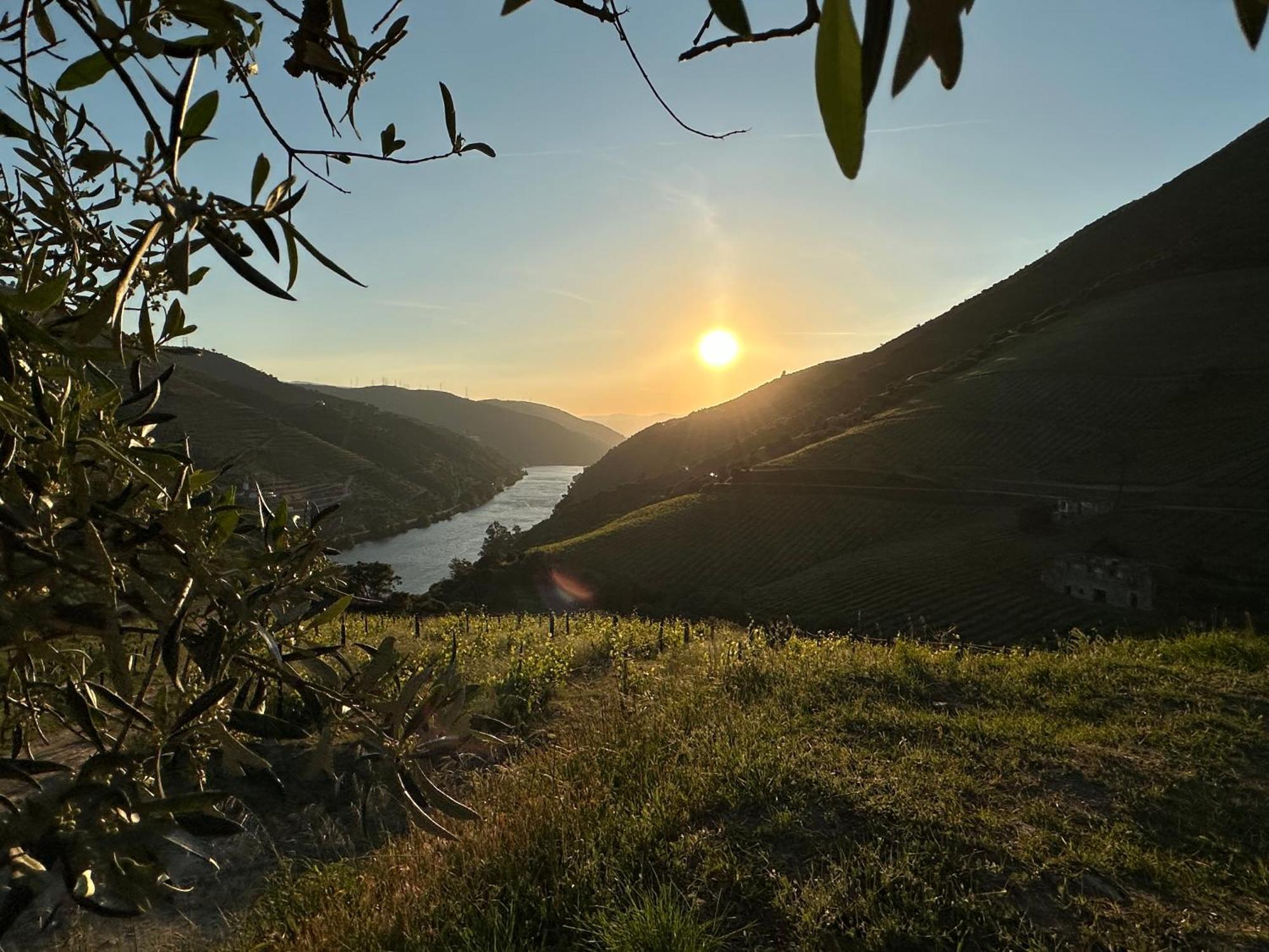 Pmdourovalley Peso da Régua Esterno foto